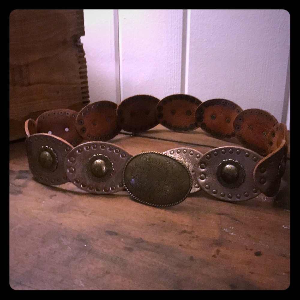 Fossil gold belt